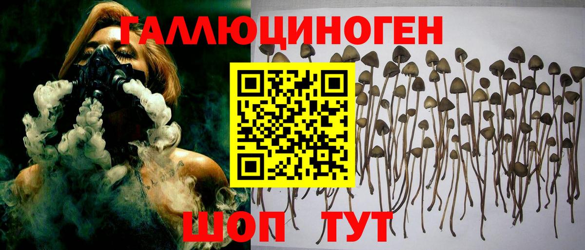 Галлюциногенные грибы ЛСД  Вход с VPN  Псилоцибиновые грибы ЛСД  Советская Гавань 