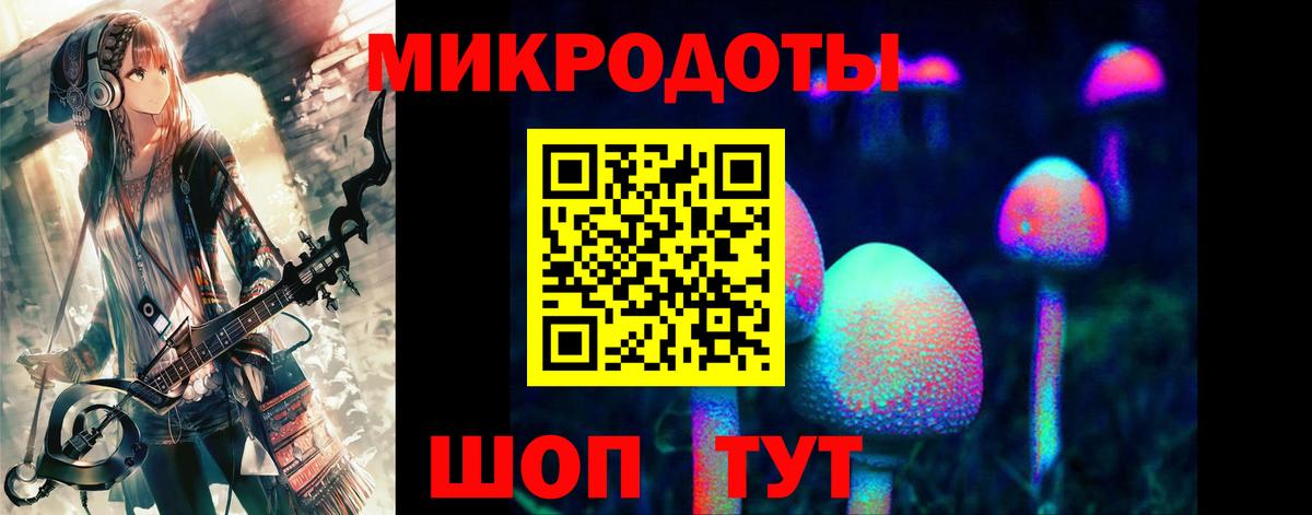 Галлюциногенные грибы мухоморы Советская Гавань